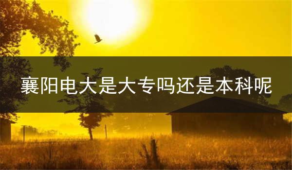 襄阳电大是大专吗还是本科呢