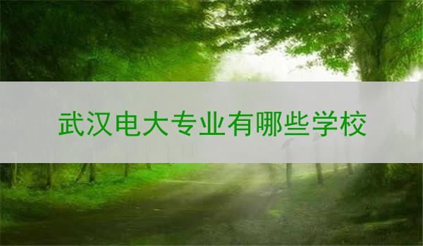 武汉电大专业有哪些学校