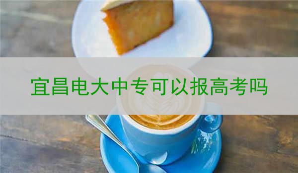 宜昌电大中专可以报高考吗