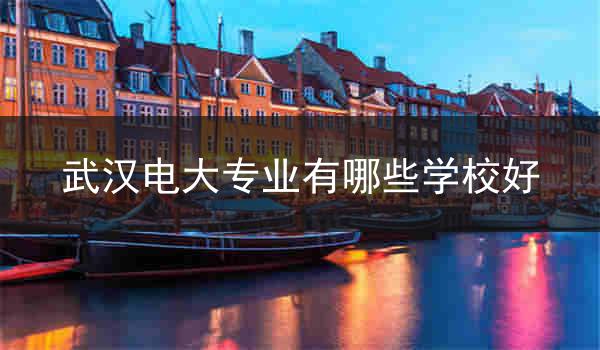 武汉电大专业有哪些学校好