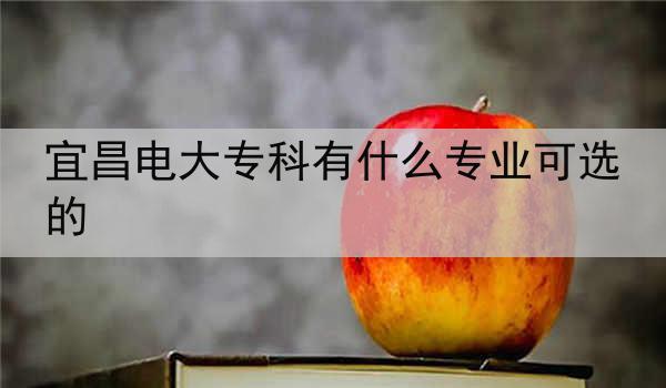 宜昌电大专科有什么专业可选的