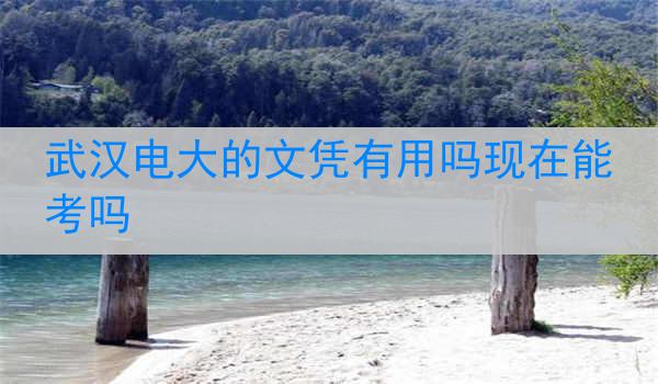 武汉电大的文凭有用吗现在能考吗