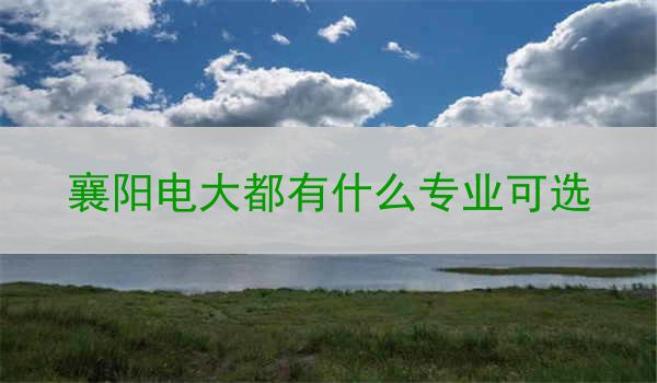 襄阳电大都有什么专业可选