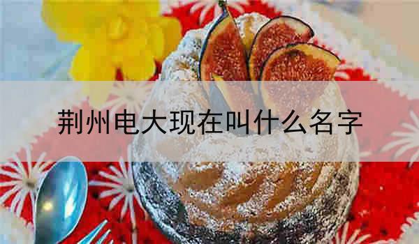 荆州电大现在叫什么名字