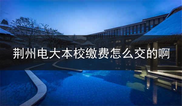 荆州电大本校缴费怎么交的啊