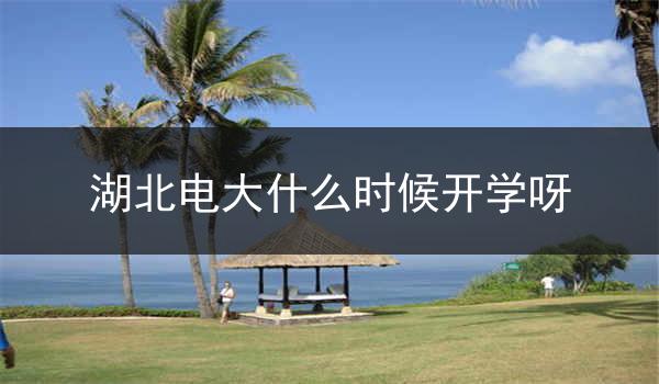 湖北电大什么时候开学呀