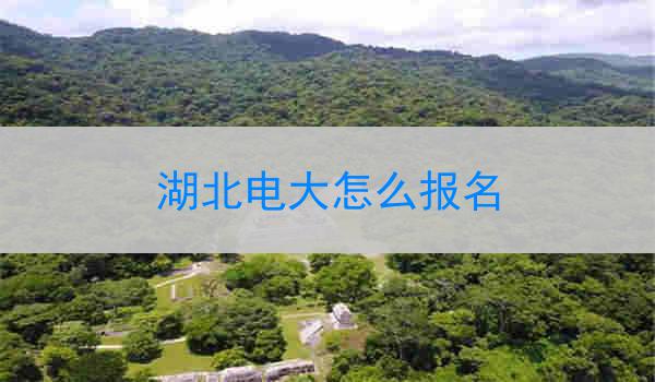 湖北电大怎么报名
