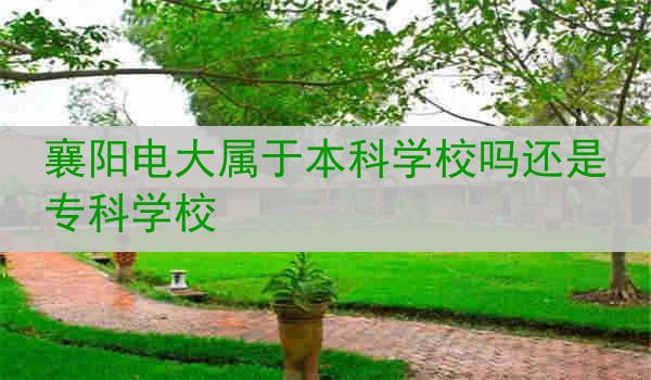 襄阳电大属于本科学校吗还是专科学校