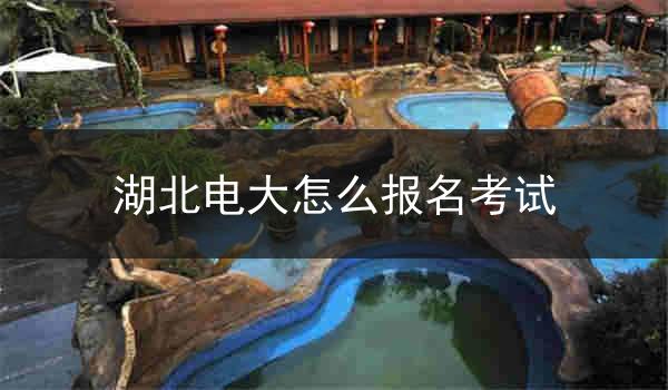 湖北电大怎么报名考试