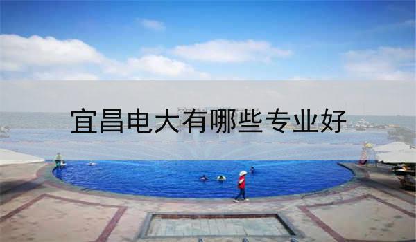 宜昌电大有哪些专业好