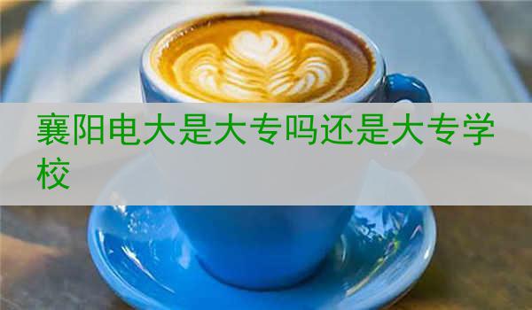 襄阳电大是大专吗还是大专学校