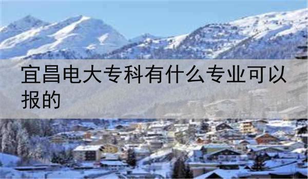 宜昌电大专科有什么专业可以报的