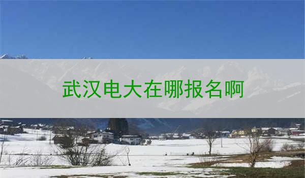 武汉电大在哪报名啊