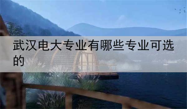 武汉电大专业有哪些专业可选的