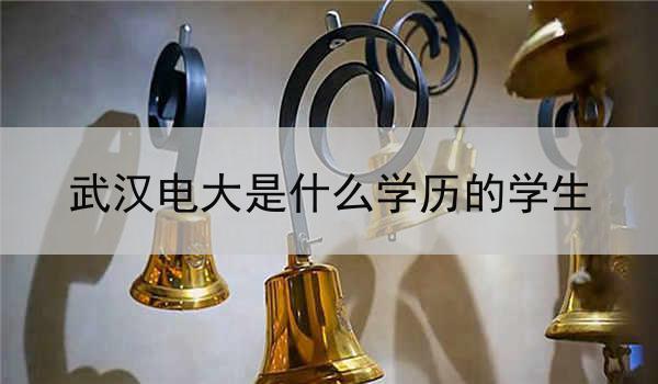 武汉电大是什么学历的学生