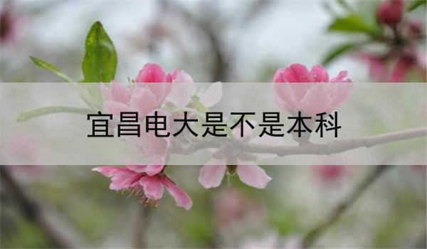 宜昌电大是不是本科