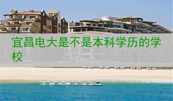 宜昌电大是不是本科学历的学校