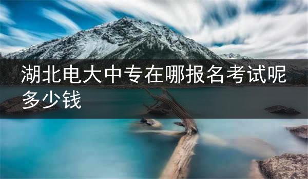 湖北电大中专在哪报名考试呢多少钱