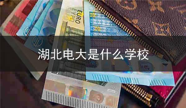 湖北电大是什么学校