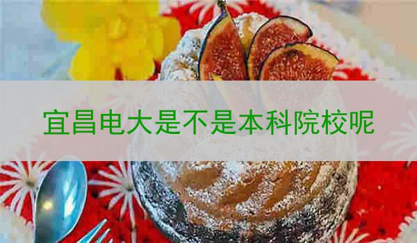 宜昌电大是不是本科院校呢