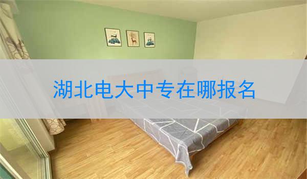 湖北电大中专在哪报名