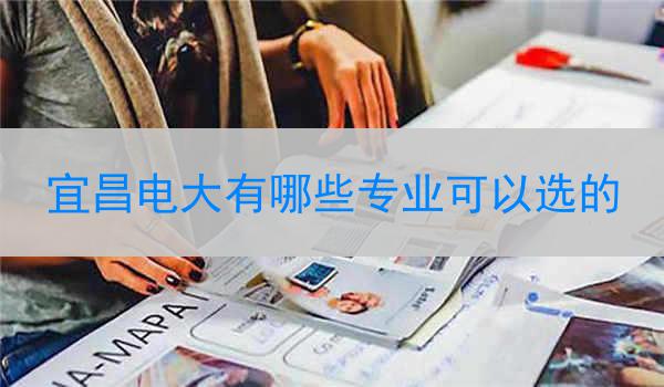 宜昌电大有哪些专业可以选的