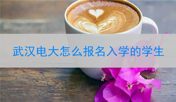 武汉电大怎么报名入学的学生
