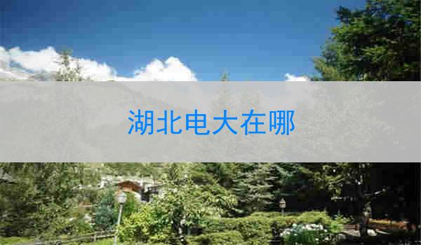 湖北电大在哪