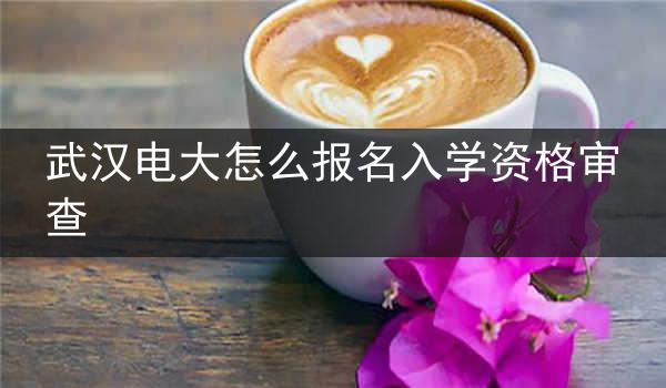 武汉电大怎么报名入学资格审查