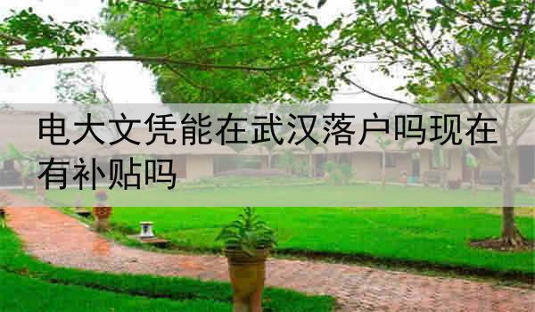 电大文凭能在武汉落户吗现在有补贴吗