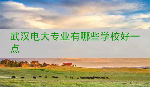 武汉电大专业有哪些学校好一点
