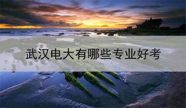 武汉电大有哪些专业好考