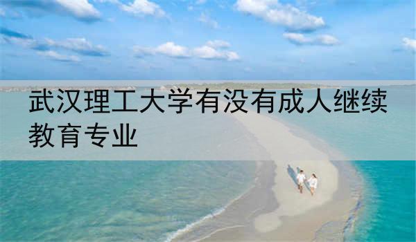武汉理工大学有没有成人继续教育专业