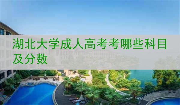 湖北大学成人高考考哪些科目及分数