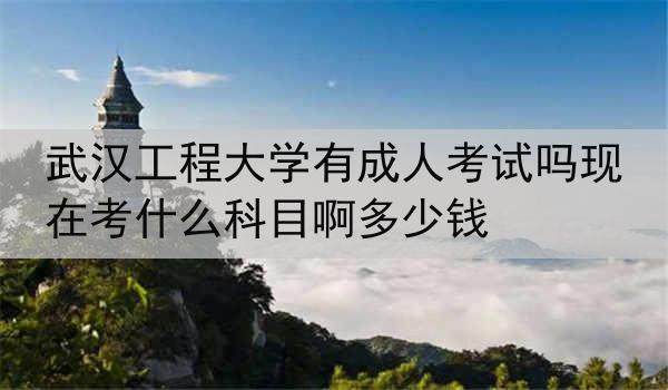 武汉工程大学有成人考试吗现在考什么科目啊多少钱