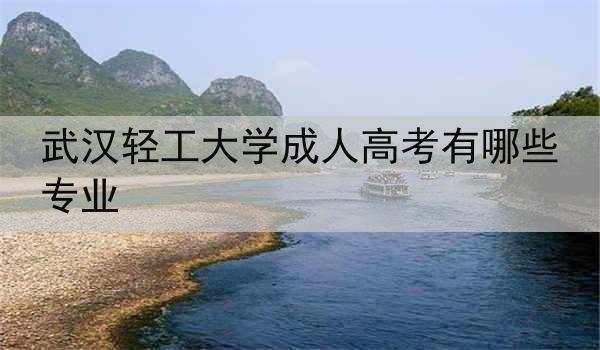 武汉轻工大学成人高考有哪些专业
