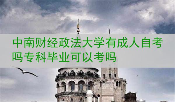 中南财经政法大学有成人自考吗专科毕业可以考吗