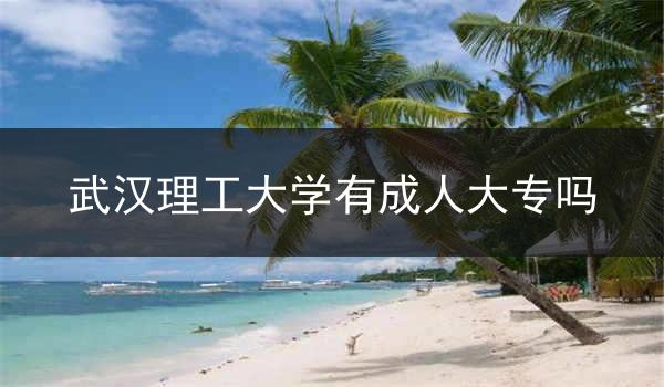 武汉理工大学有成人大专吗