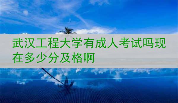 武汉工程大学有成人考试吗现在多少分及格啊