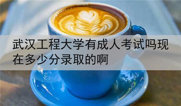 武汉工程大学有成人考试吗现在多少分录取的啊