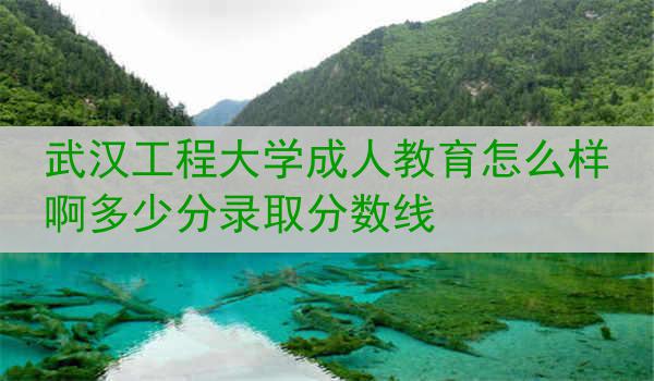武汉工程大学成人教育怎么样啊多少分录取分数线