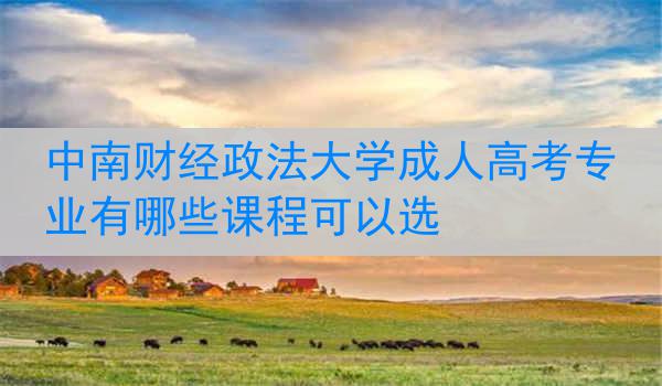 中南财经政法大学成人高考专业有哪些课程可以选