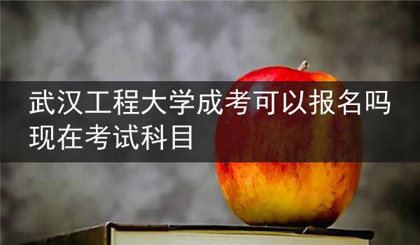 武汉工程大学成考可以报名吗现在考试科目