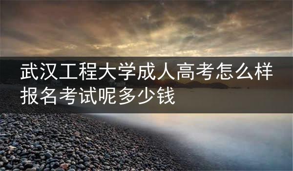 武汉工程大学成人高考怎么样报名考试呢多少钱