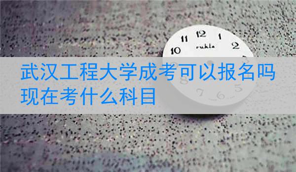武汉工程大学成考可以报名吗现在考什么科目