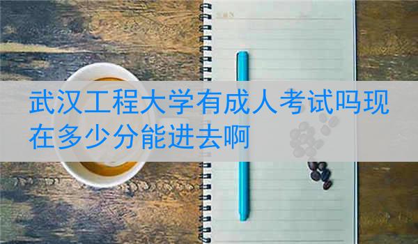 武汉工程大学有成人考试吗现在多少分能进去啊
