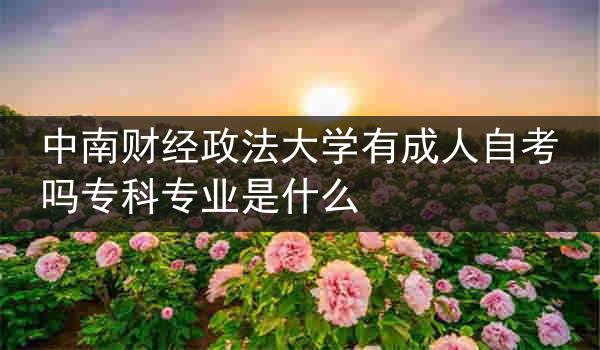 中南财经政法大学有成人自考吗专科专业是什么