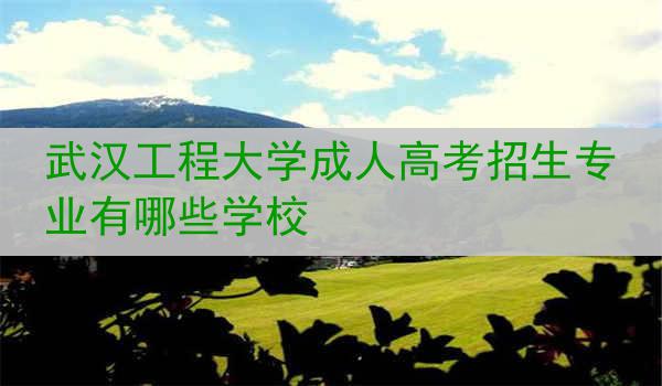 武汉工程大学成人高考招生专业有哪些学校