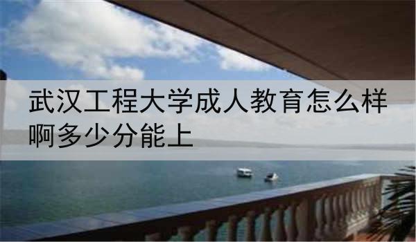 武汉工程大学成人教育怎么样啊多少分能上