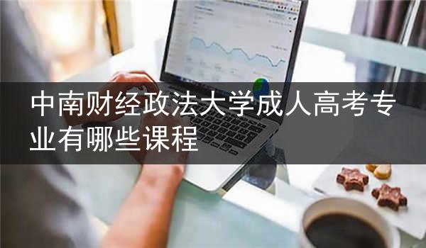 中南财经政法大学成人高考专业有哪些课程